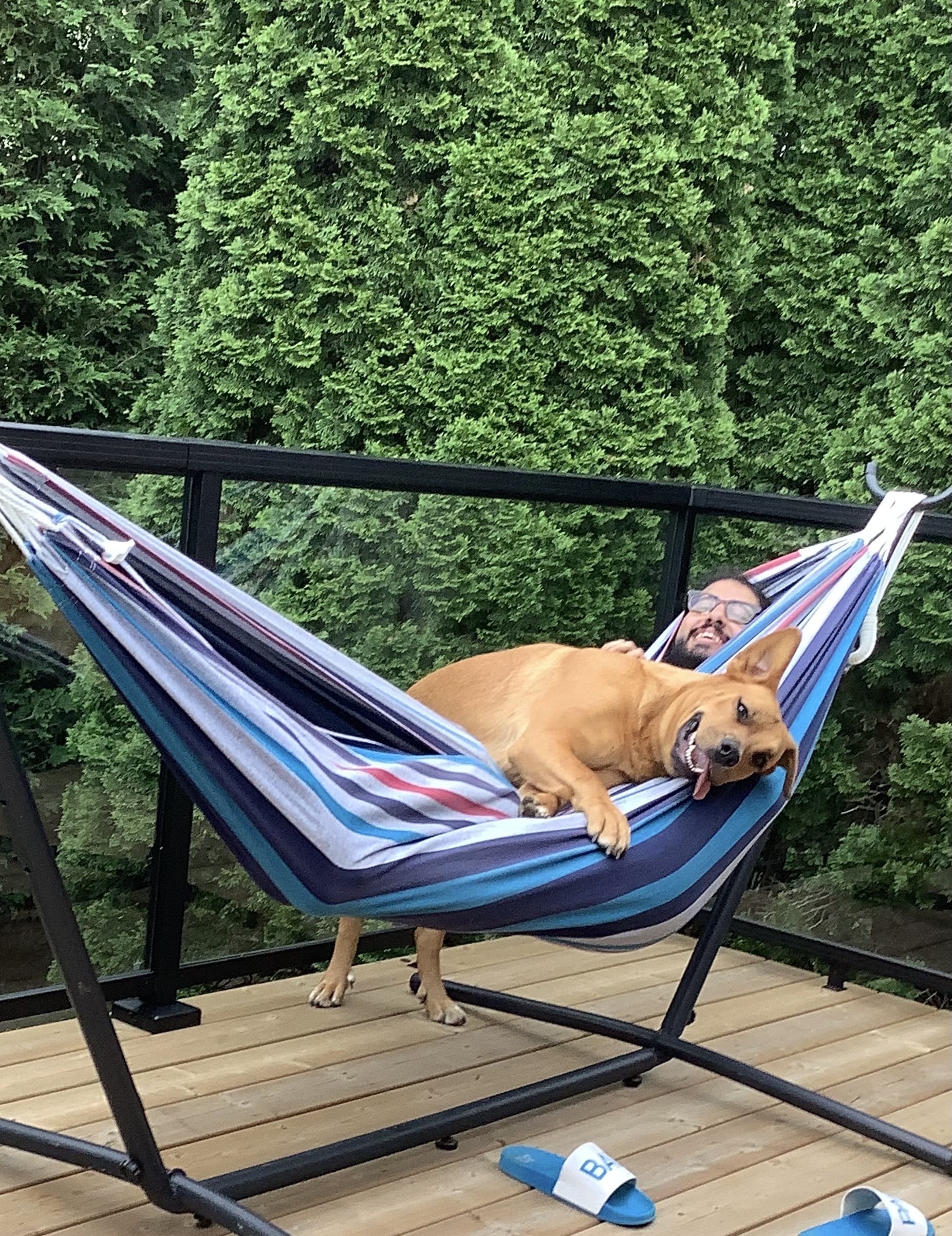 Johnny and Zoe, a large golden-brown dog, sharing a striped hammock on a leafy deck.